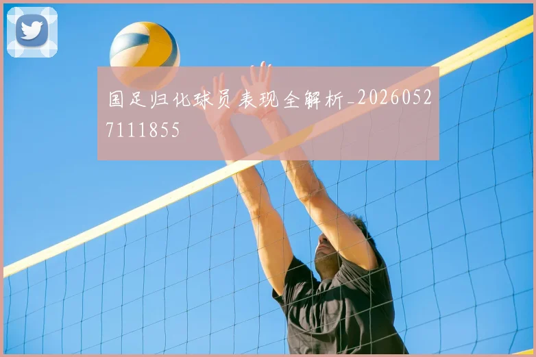 国足归化球员表现全解析_20260527111855